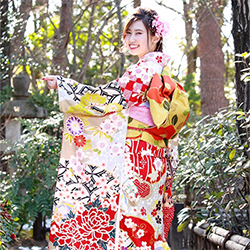 フォトギャラリー