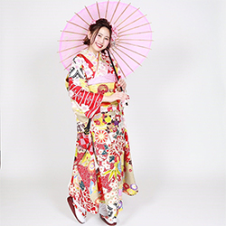フォトギャラリー