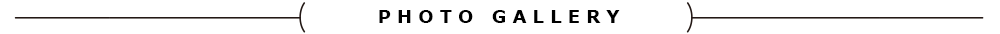 フォトギャラリー